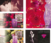 Import Express
